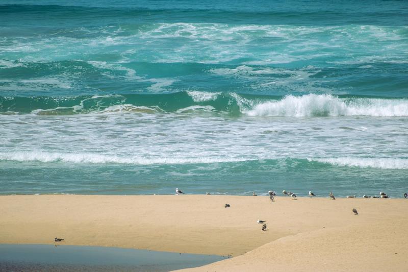 0 Bedroom Property for Sale in Moquini Coastal Estate Western Cape